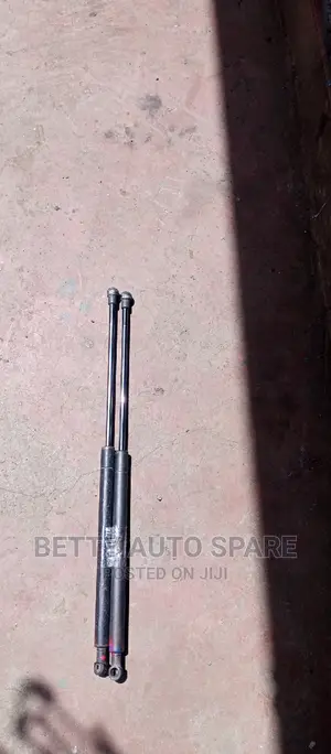 Toyota Filder Boot Shocks