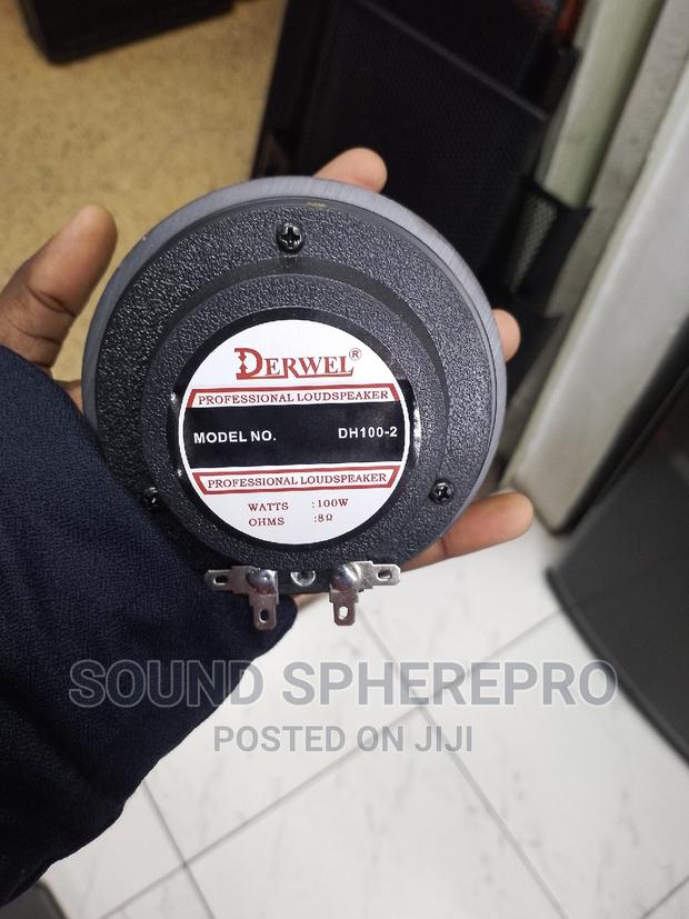 Derwel DH100-2 Driver