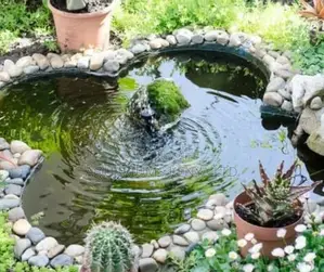 Garden Water Feature Oasis , Pond With Fountain