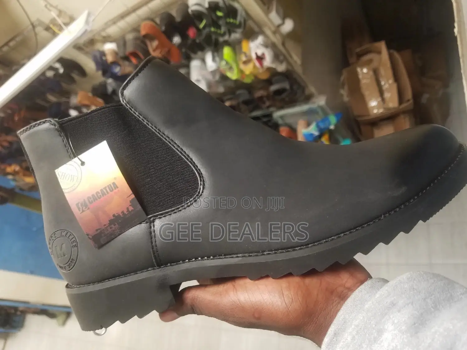 Cacatua Official Boots