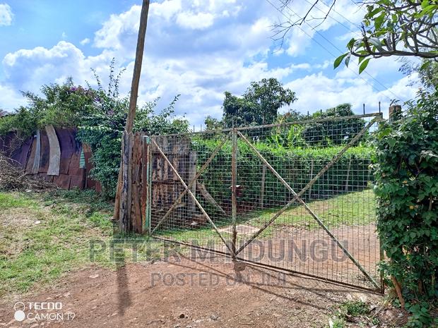 Prime 5.2 Acres Safari Park - thumbnail 7