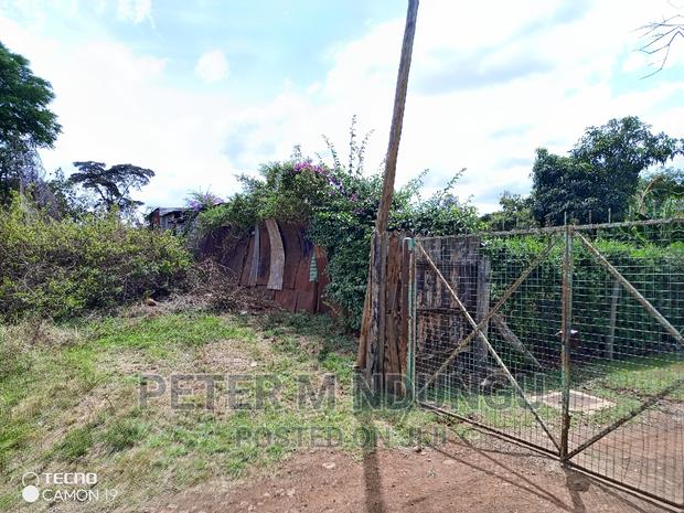 Prime 5.2 Acres Safari Park - thumbnail 5