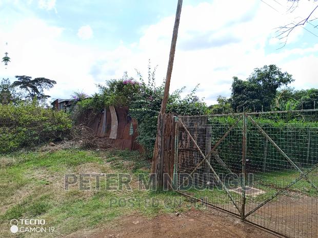 Prime 5.2 Acres Safari Park - thumbnail 8