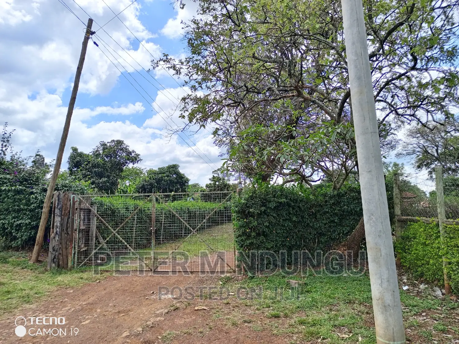 Prime 5.2 Acres Safari Park