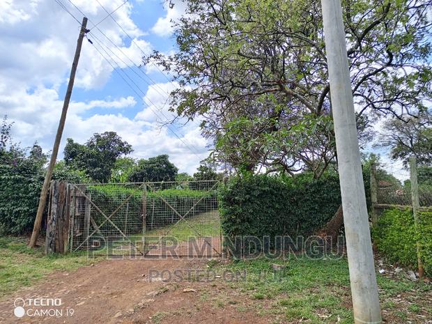 Prime 5.2 Acres Safari Park - thumbnail 10