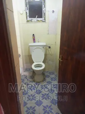 2bdrm Apartment in South B for rent