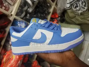 Nike SB Shoes