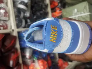 Nike SB Shoes