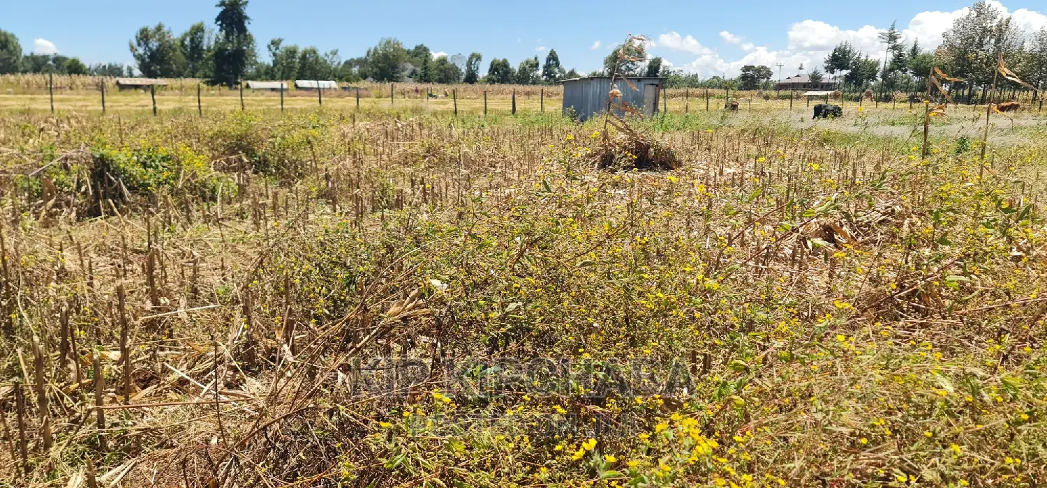 1⁄4 Plot Touching Highway for Sale Chepkanga Eldoret