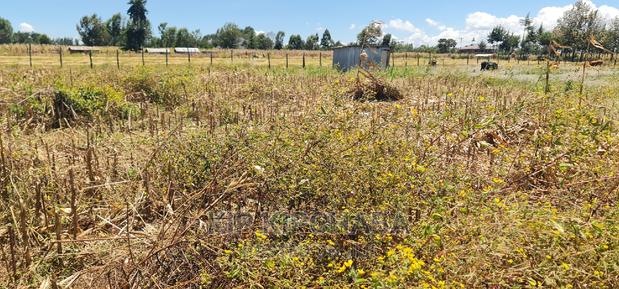 1⁄4 Plot Touching Highway for Sale Chepkanga Eldoret - thumbnail 5