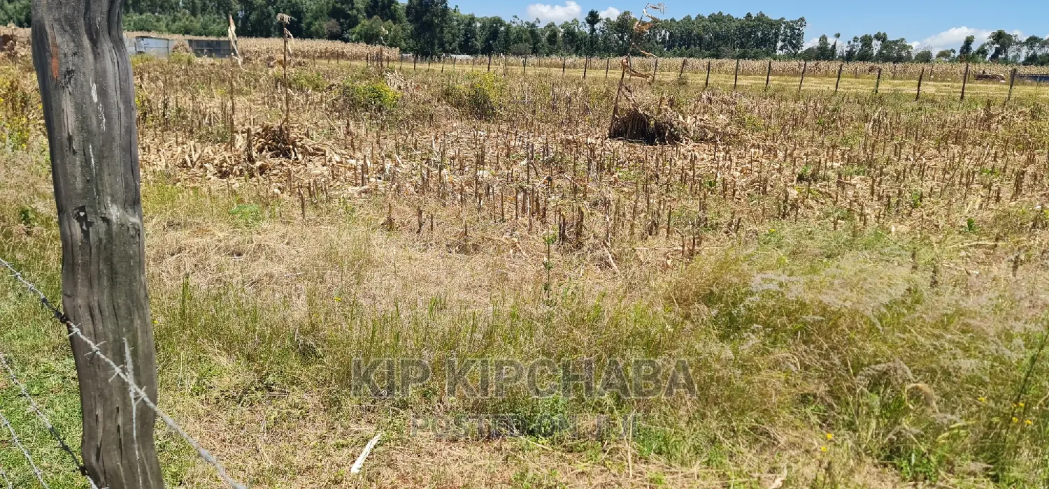 1⁄4 Plot Touching Highway for Sale Chepkanga Eldoret