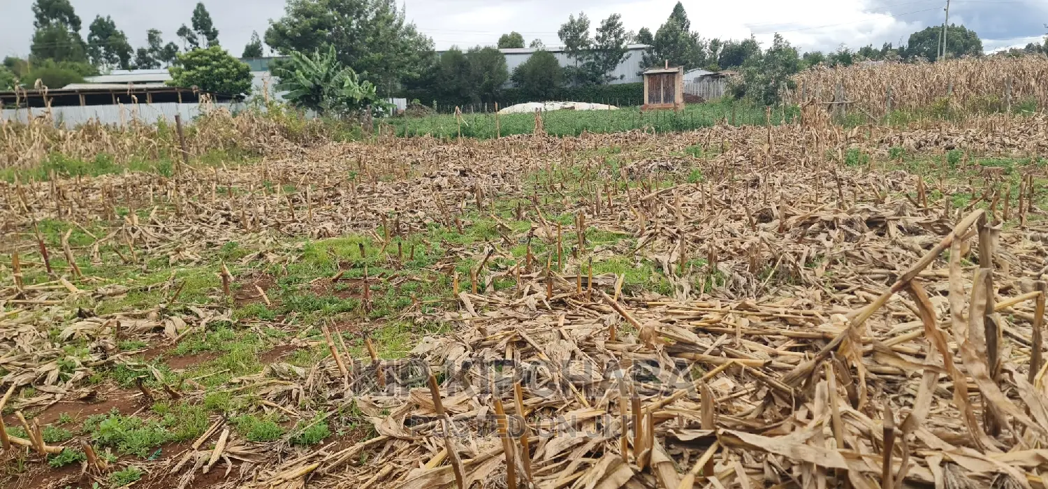 Plots for Sale Kiplombe Opposite New MTRH in Eldoret
