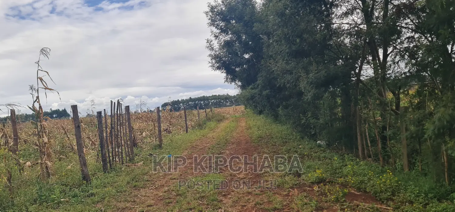 Plots for Sale Kiplombe Opposite New MTRH in Eldoret