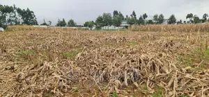 Plots for Sale Kiplombe Opposite New MTRH in Eldoret