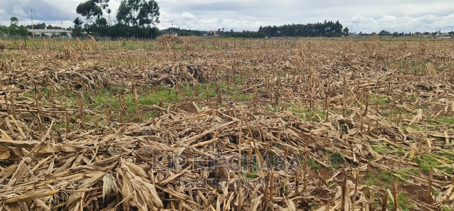 Plots for Sale Kiplombe Opposite New MTRH in Eldoret