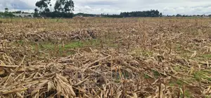 Plots for Sale Kiplombe Opposite New MTRH in Eldoret