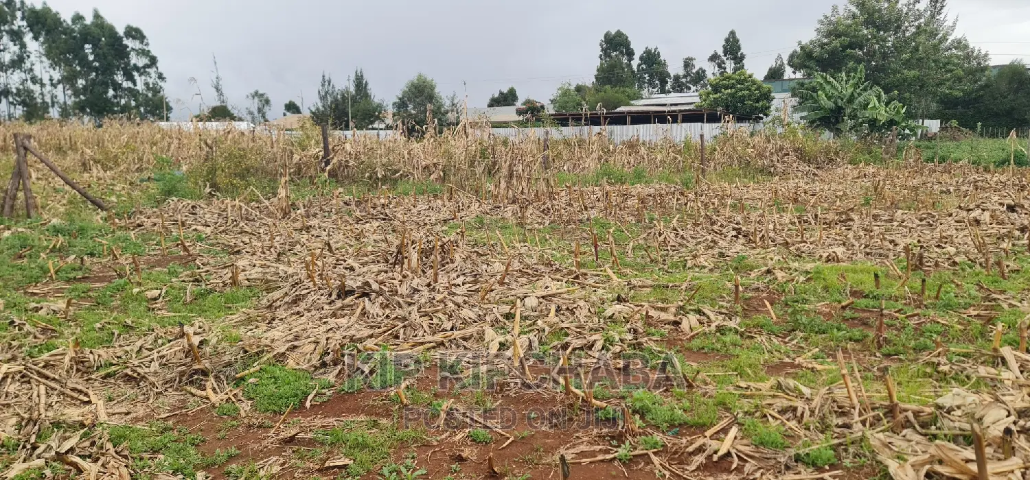 Plots for Sale Kiplombe Opposite New MTRH in Eldoret