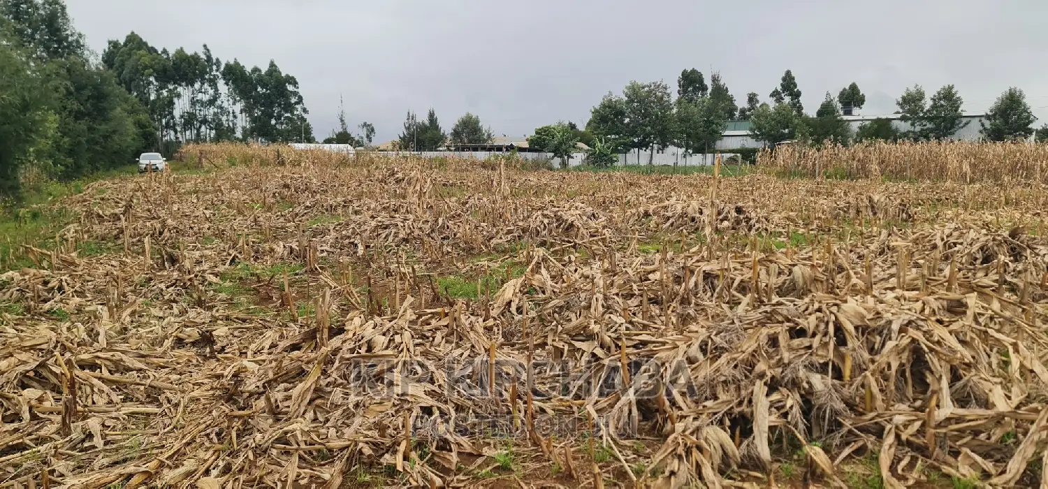 Plots for Sale Kiplombe Opposite New MTRH in Eldoret