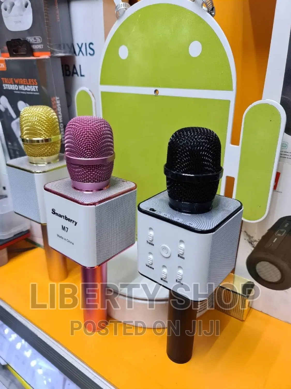 Kids Microphone