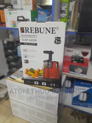 Rebune Slow Juicer With 2 Outlets.