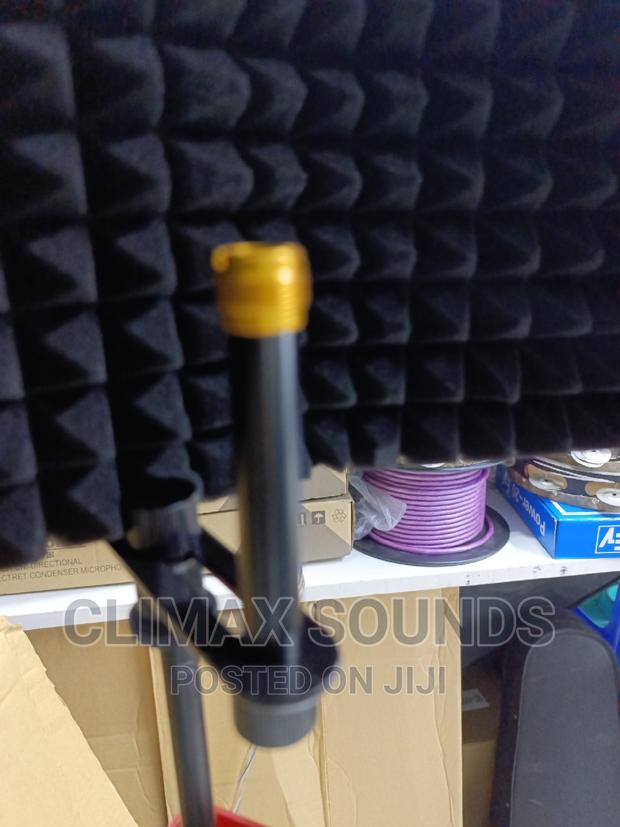 Microphone Isolation Shield Big 5sd - thumbnail 2