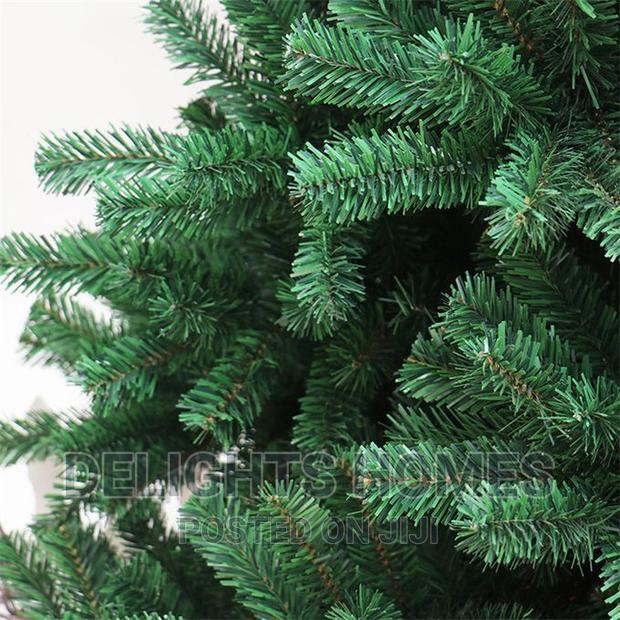 Cyprus Christmas Tree* - thumbnail 2
