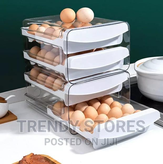 *2 Layered Arcylic 32 Grid Space Egg Tray - main view