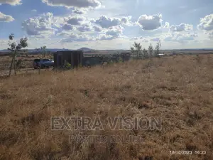 Two 1/8 Acre Plots at Kavombo, Ndovoini, Joska. With Titles