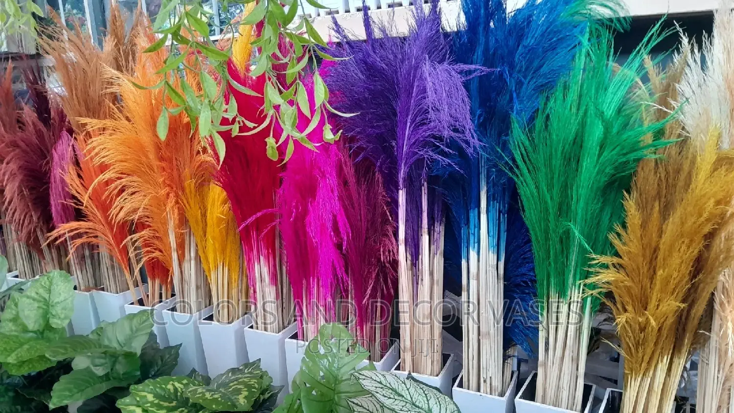 Grass Pampas Home Decor