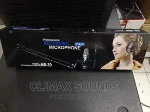 Professional Recording Stand Microphone