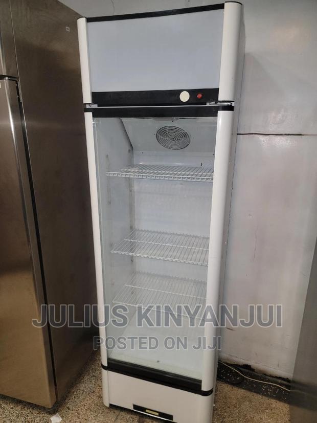 Display Fridge 360l