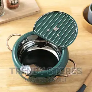 Nordic Green Coloured 3.4L Frying Pot With Thermometer