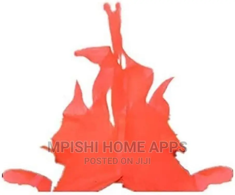 LED Flame Light