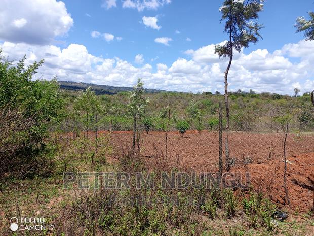 Prime 2 Acres on Sale , Kambiti