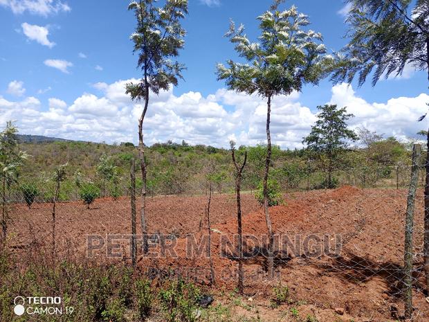 Prime 2 Acres on Sale , Kambiti - thumbnail 7
