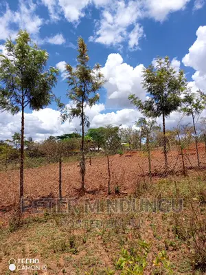 Prime 2 Acres on Sale , Kambiti