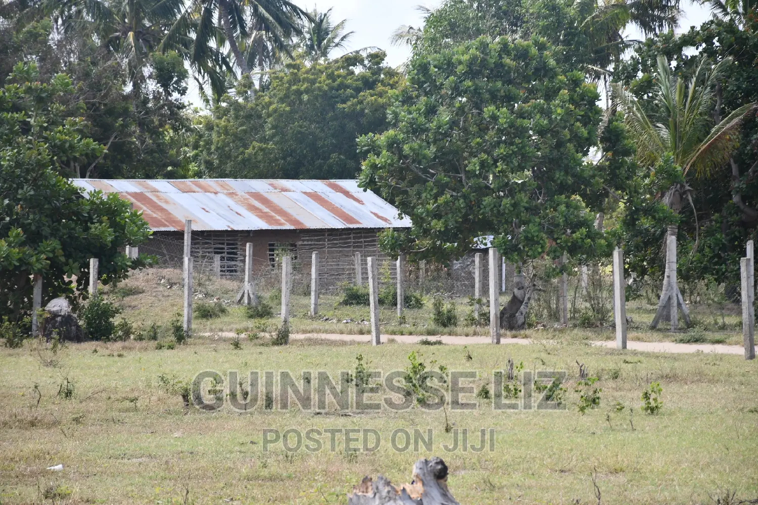 Tezo Kilifi County at Great Rate With Ready Title