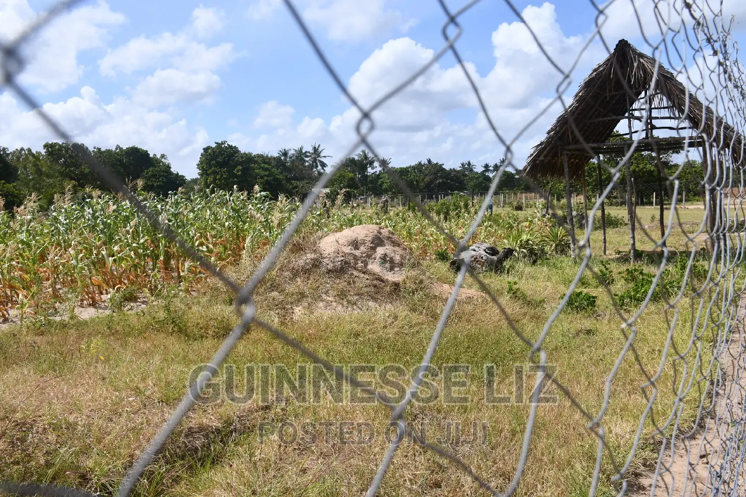 Tezo Kilifi County at Great Rate With Ready Title