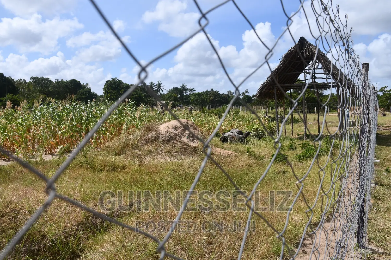 Tezo Kilifi County at Great Rate With Ready Title