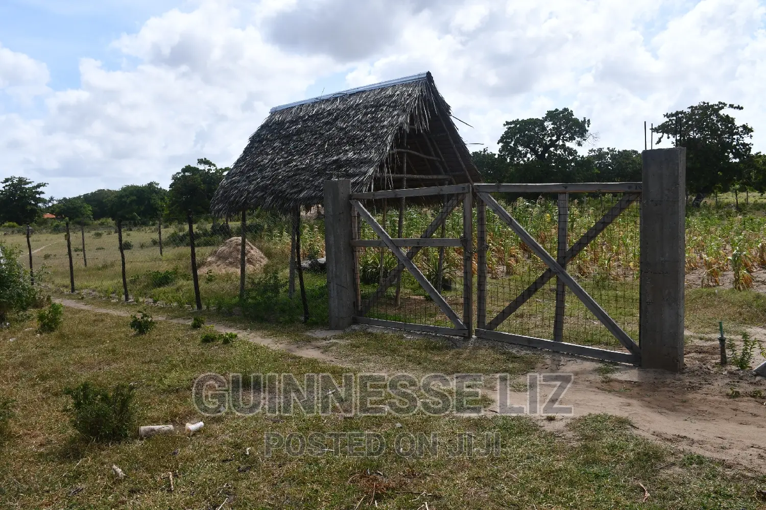 Tezo Kilifi County at Great Rate With Ready Title