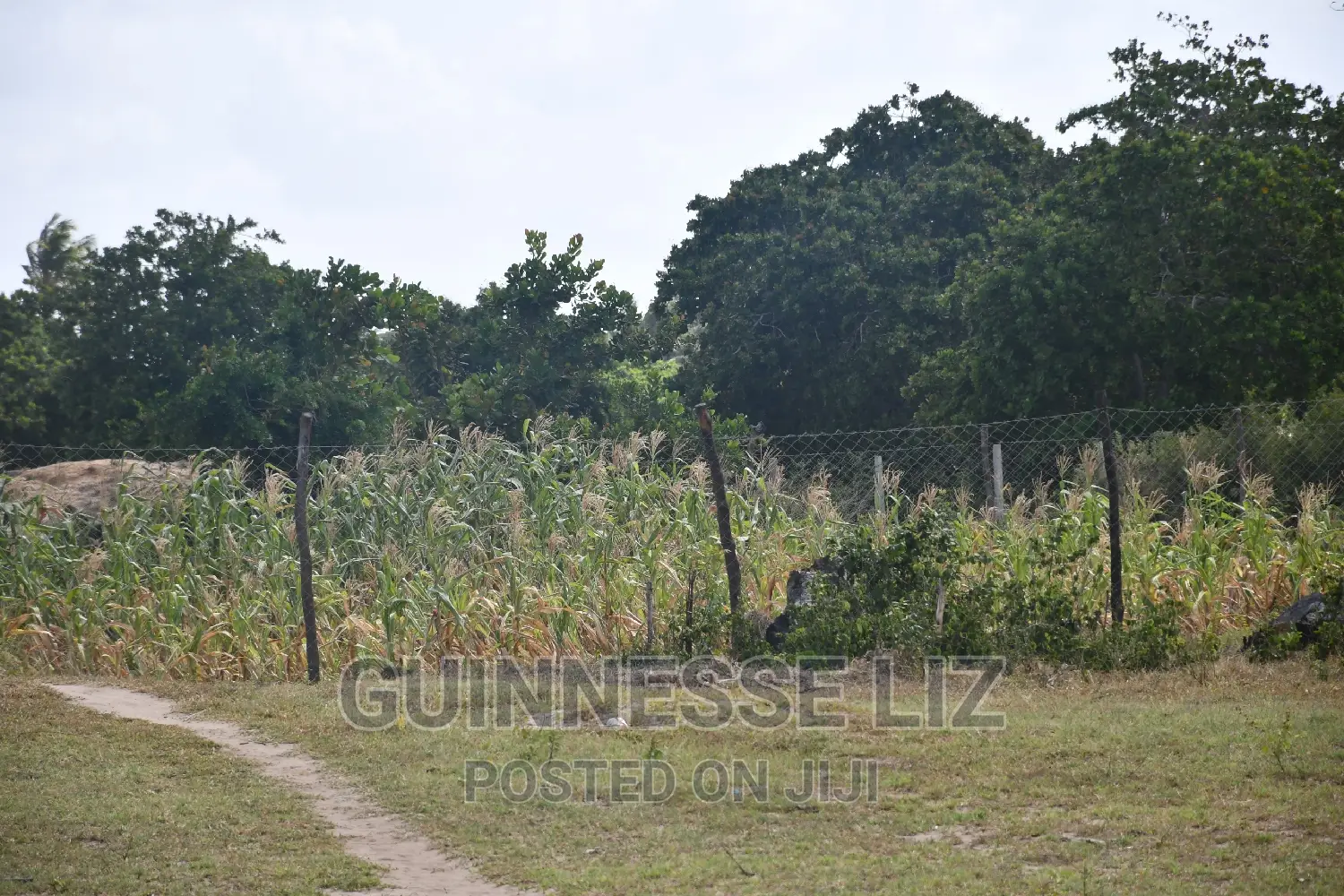Tezo Kilifi County at Great Rate With Ready Title