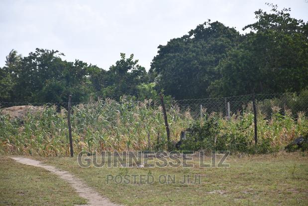 Tezo Kilifi County at Great Rate With Ready Title - thumbnail 16