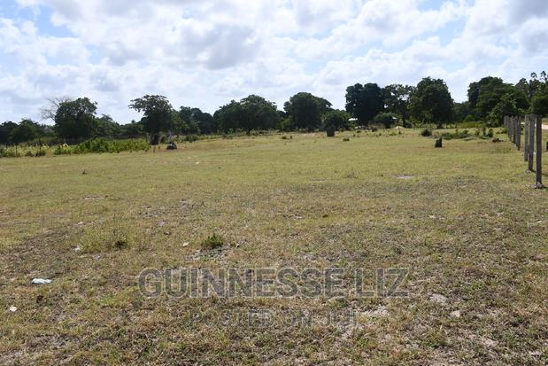 Tezo Kilifi County at Great Rate With Ready Title - thumbnail 18