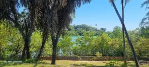 Serena Beach Plots,1/2 1/4 Plots On Sale