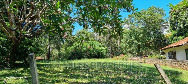 Serena Beach Plots,1/2 1/4 Plots On Sale - thumbnail 16