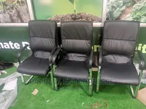 Executive Office Leather Visitors Chairs
