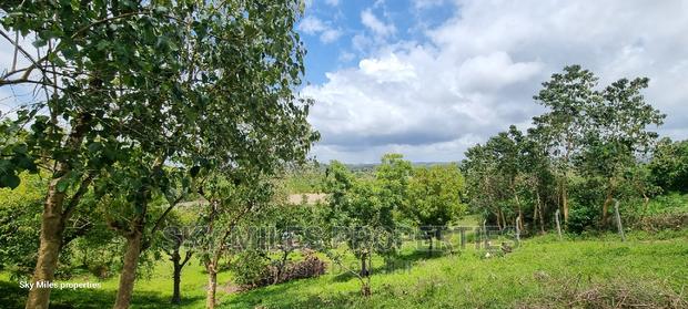 1.1 Acre,Mtwapa Creekside Beach Plot on Sale - thumbnail 14