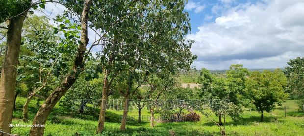 1.1 Acre,Mtwapa Creekside Beach Plot on Sale - thumbnail 13