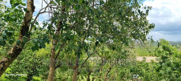1.1 Acre,Mtwapa Creekside Beach Plot on Sale - thumbnail 15