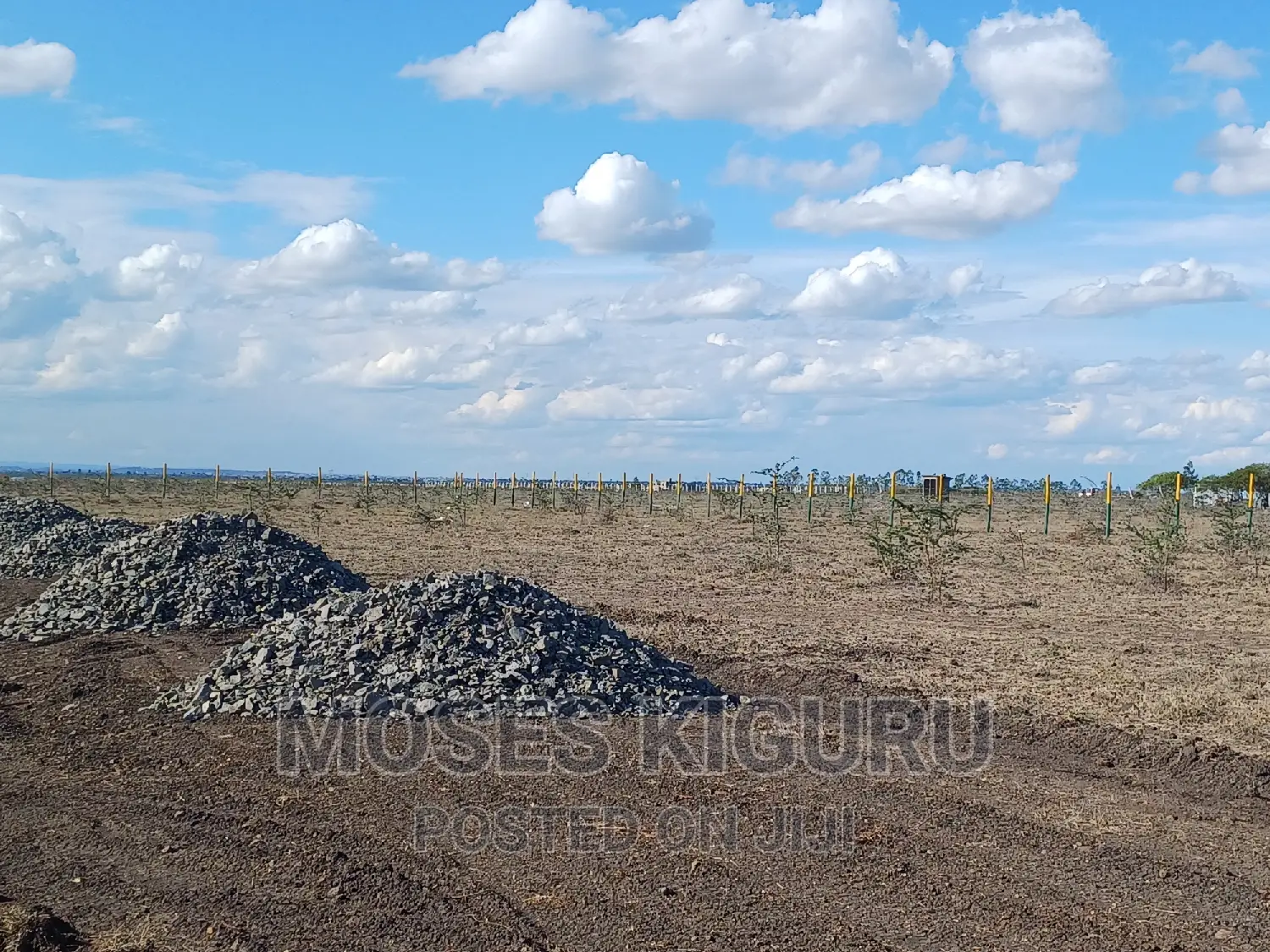Mwalimu Farm, 50 X 100 Plots